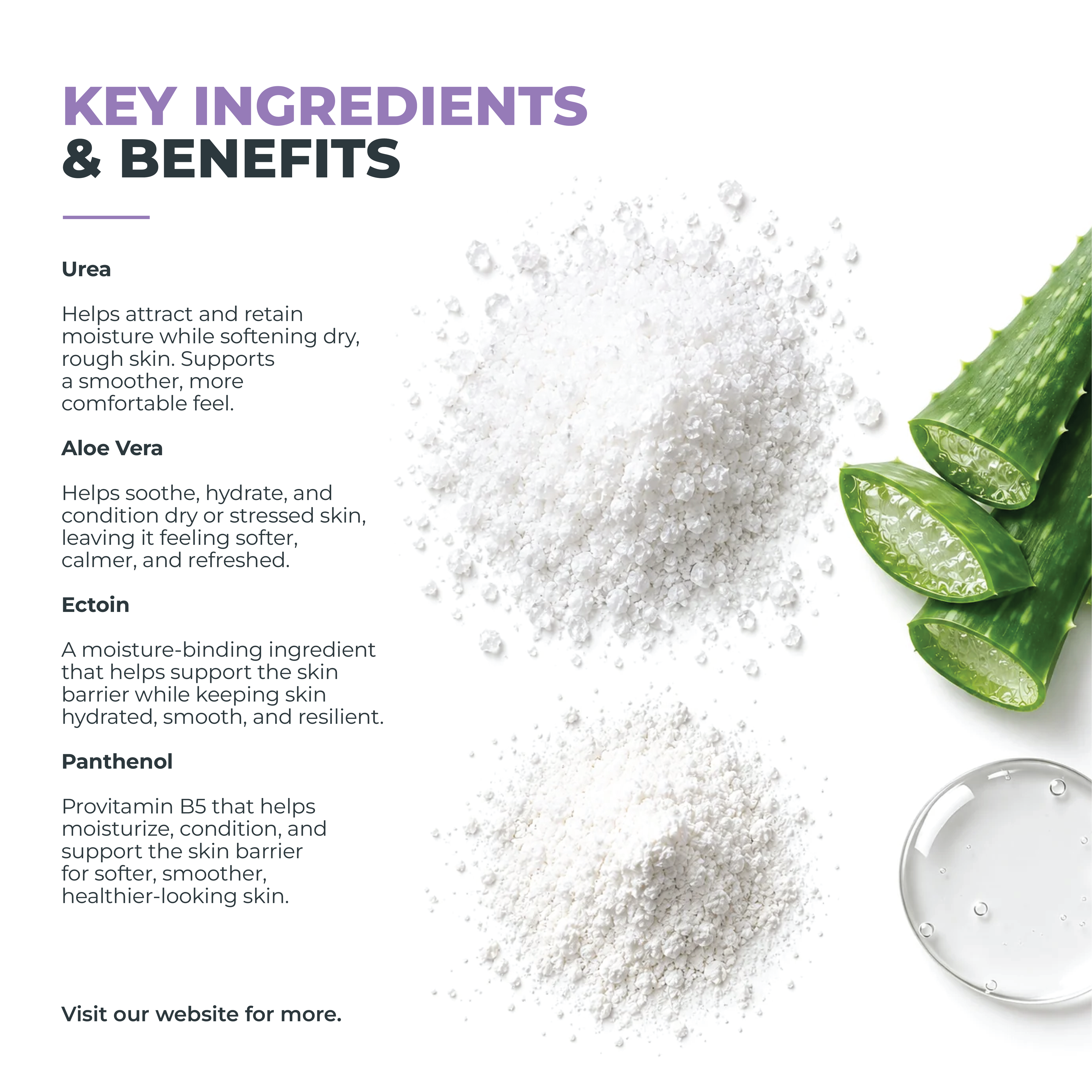 A text-heavy ingredient and benefits graphic on a white background, with purple and black headings reading 'KEY INGREDIENTS & BENEFITS' and bullet points about urea, aloe vera, ectoin, and panthenol. A pile of white powder, sliced green aloe leaves, and a clear dropper are shown on the right.